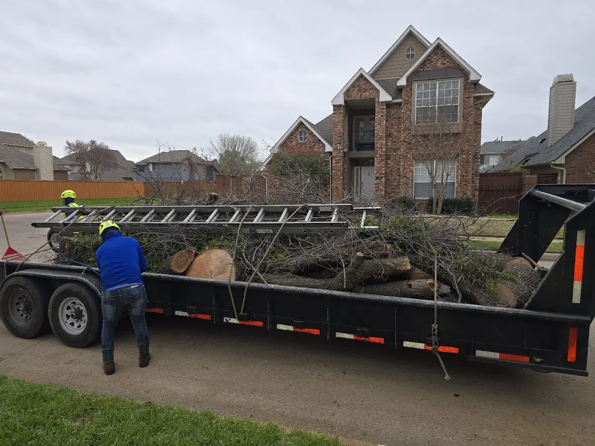 Expert Lot Clearing with proper safety equipment in Andover
